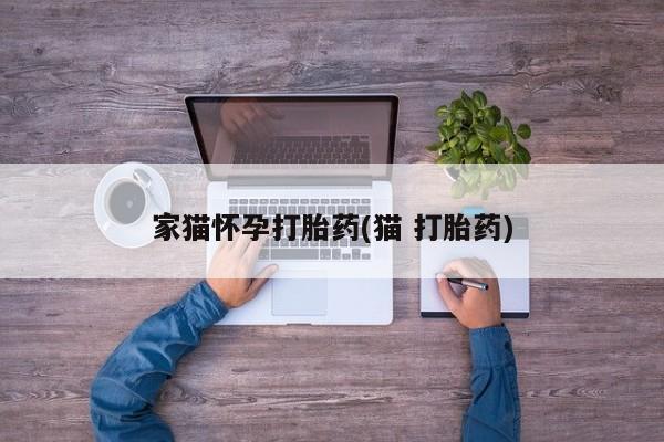 米非司酮片方旗舰店家猫怀孕打胎药(猫 打胎药)